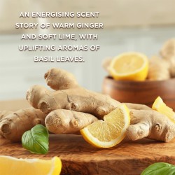 Baylis & Harding Wellness Energise Gift Set (Ginger, Lemon & Basil) - dovanų rinkinys