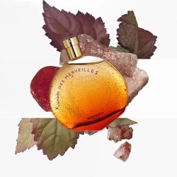 Hermes L´Ambre des Merveilles EDP unisex kvepalai, 50 ml