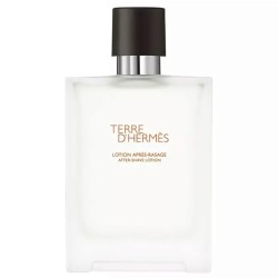 Hermes Terre D'Hermes After Shave 100ml