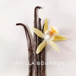 Ralph Lauren Polo Earth Antilles Vetiver EDT unisex kvepalai, 40 ml