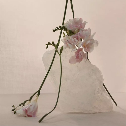 Adolfo Dominguez Nude Musk EDP 120 ml kvepalai moterims