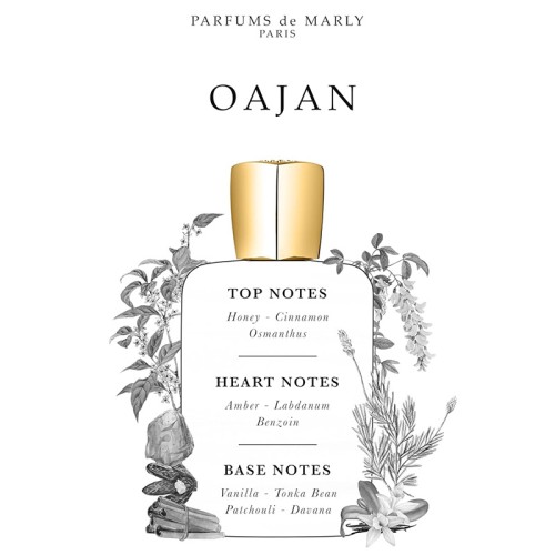 Parfums De Marly Oajan EDP kvepalai vyrams, 125 ml