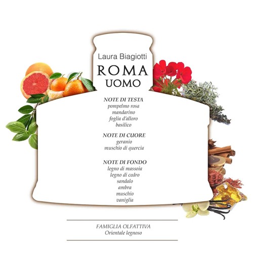 Laura Biagiotti Roma Uomo EDT kvepalai vyrams, 75 ml
