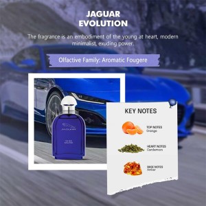 Jaguar Evolution EDT Tester kvepalai vyrams, 100 ml 2