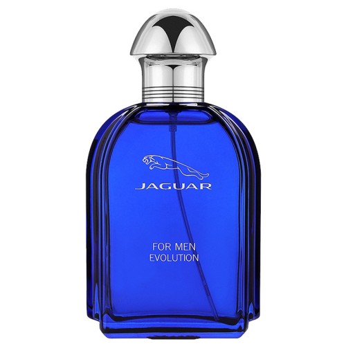 Jaguar Evolution EDT Tester kvepalai vyrams, 100 ml