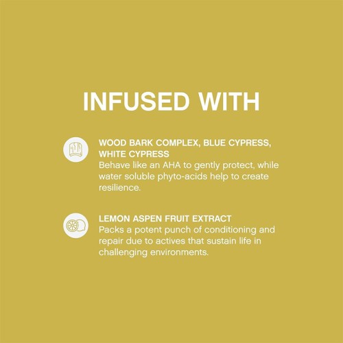 Kevin Murphy Blow.Dry Ever.Smooth Smoothing Heat-activated Style Extender 150 ml