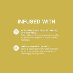 Kevin Murphy Blow.Dry Ever.Smooth Smoothing Heat-activated Style Extender 150 ml