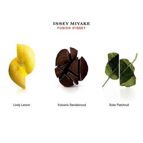 Issey Miyake Fusion d´Issey EDT kvepalai vyrams, 100 ml