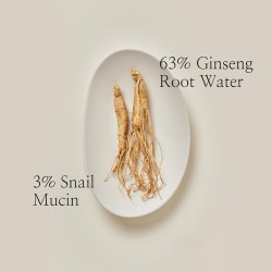 Beauty of Joseon Ginseng + Snail Mucin Revive Serum - drėkinamasis peptidinis veido serumas, 30 ml