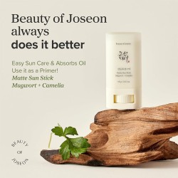 Beauty of Joseon Mugwort + Camilia Matte Sun Stick SPF 50 - Ochranná matující tyčinka 18 g