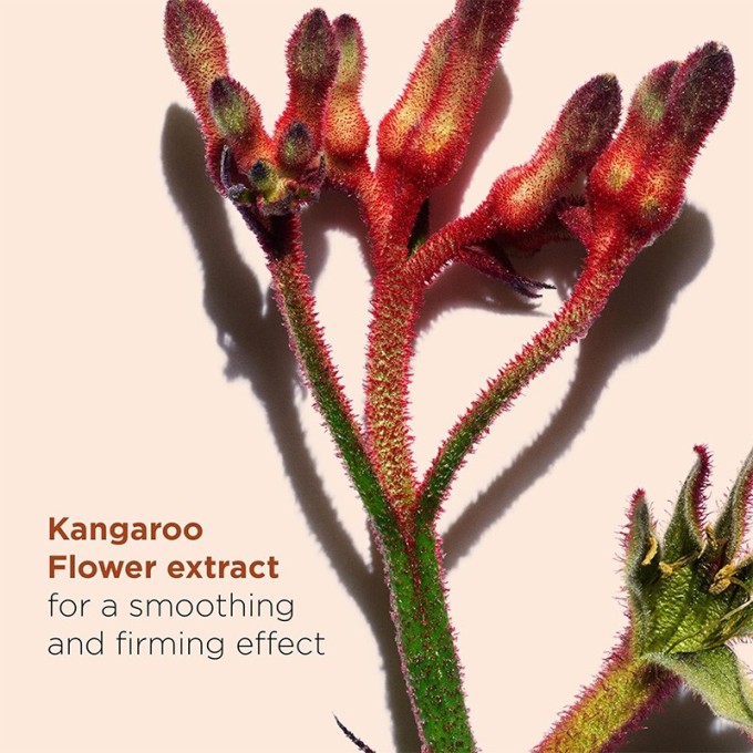 Clarins Total Eye Smooth Eye Balm - paakių kremas ir kaukė viename, 15 ml