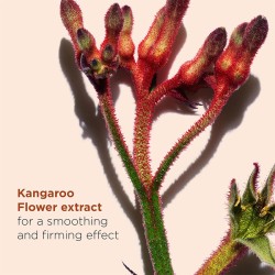 Clarins Total Eye Smooth Eye Balm - paakių kremas ir kaukė viename, 15 ml