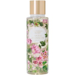 Victoria´s Secret Santal Blossom kūno dulksna 250ml