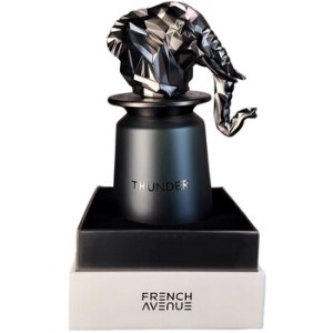 French Avenue Thunder EDP 100ml kvepalai vyrams