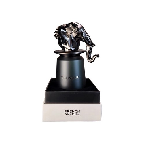 French Avenue Thunder EDP 100ml kvepalai vyrams
