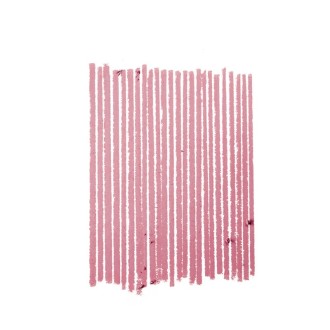 MAC Lip Pencil - lūpų pieštukas, 1.45 g - 04 Edge To Edge 2