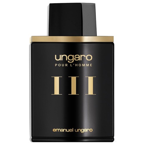 Emanuel Ungaro Ungaro pour L`Homme III EDT kvepalai vyrams, 100 ml