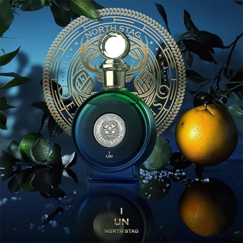 Paris Corner North Stag Expressions I Un EDP kvepalai, 100 ml