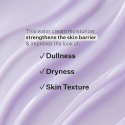 StriVectin Advanced Hydration Re-Quench Water Cream - intensyviai drėkinantis kremas pavargusiai