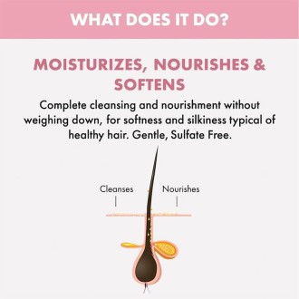 Alfaparf Milano Semi Di Lino Moisture Nutritive Low Shampoo - šampūnas sausiems plaukams, 1000 ml 2