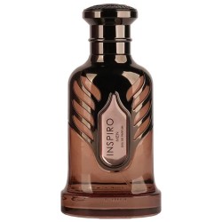 Riiffs Perfumes Inspiro Men EDP kvepalai vyrams, 100 ml