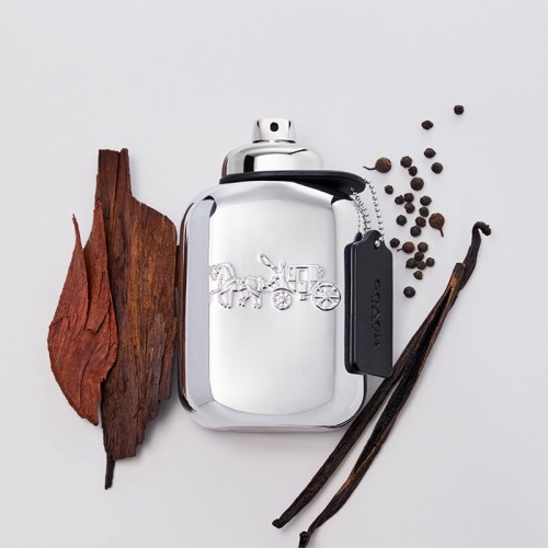 Coach Platinum for Men EDP Tester 100ml