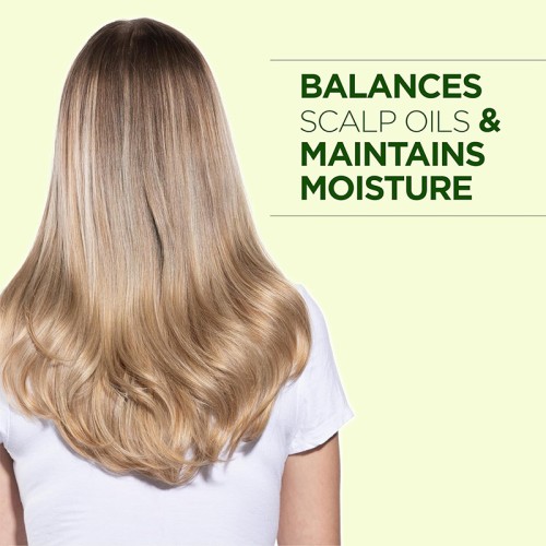 Farouk Systems CHI Tea Tree Oil Conditioner - plaukų kondicionierius, 739 ml