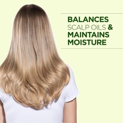 Farouk Systems CHI Tea Tree Oil Conditioner - plaukų kondicionierius, 739 ml