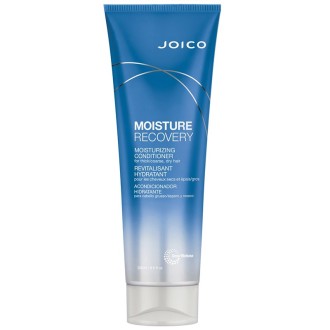 Joico Moisture Recovery Conditioner For Dry Hair - drėkinamasis kondicionierius, 250 ml