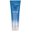 Joico Moisture Recovery Conditioner For Dry Hair - drėkinamasis kondicionierius, 250 ml