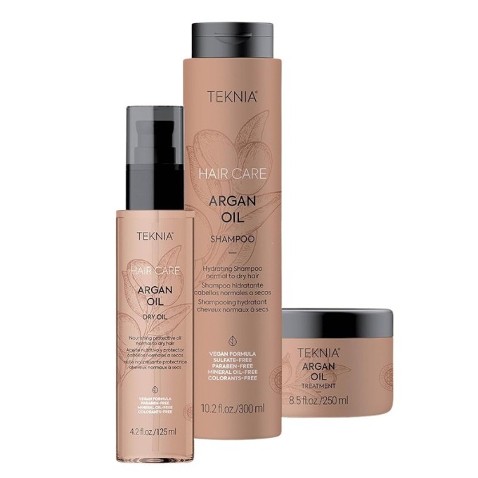 Lakmé Teknia Hair Care Argan Oil Set - plaukų priežiūros rinkinys, 675 ml