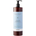 Artego Rain Dance Hydra Shampoo - drėkinamasis šampūnas, 1000 ml