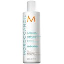 Moroccanoil Hydrating Conditioner - drėkinamasis kondicionierius, 250 ml