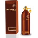 Montale Paris Amber & Spices EDP 100ml
