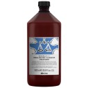 Davines Natural Tech Rebalancing Cleansing Treatment - plaukų procedūra greitai