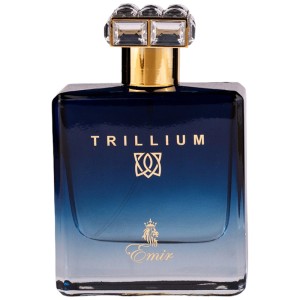 Paris Corner Trillium EDP kvepalai vyrams, 100 ml