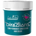 La Riche (Semi-Permanent Conditioning Hair Colour) Directions (Semi-Permanent Conditioning Hair