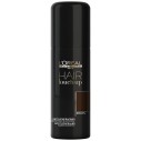 L´Oréal Professionnel Hair Touch Up Root Concealer Brown