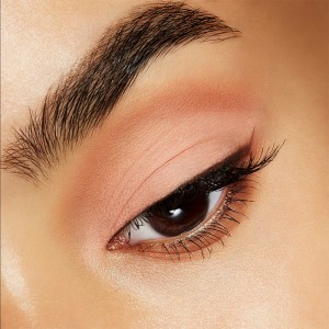 MAC Pro Longwear Paint Pot Eye Shadow Art Thera Peachy 2