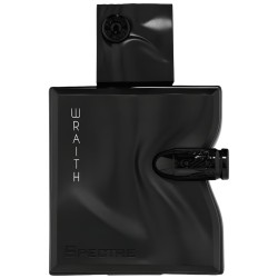 French Avenue Spectre Wraith EDP 100 ml kvepalai vyrams
