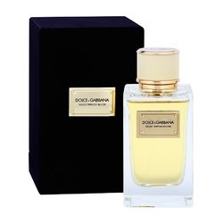 Dolce Gabbana Velvet Mimosa Bloom EDP 150ml kvepalai moterims