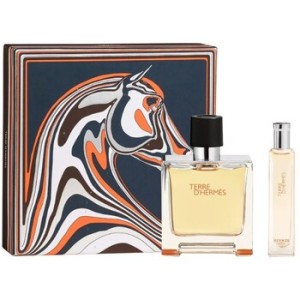 Hermes Terre D´ Hermes Dárková sada EDT 100 ml a EDT 15 ml 100ml