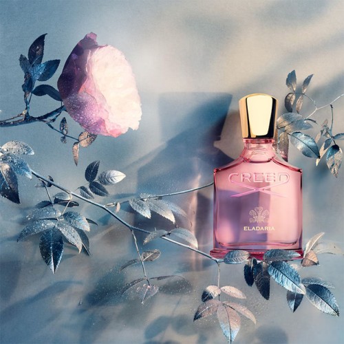 Creed Eladaria EDP 75ml kvepalai moterims