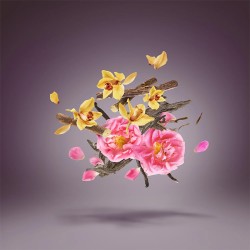 Xerjoff XJ Oud King Masarat Extrait de Parfum 15ml