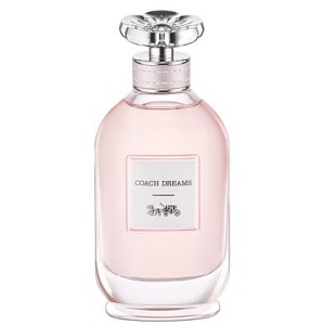 Coach Coach Dreams EDP Tester 90ml