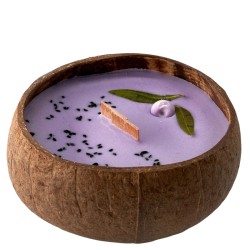 Tropikalia žvakė kokose, mėlynių ir vanilės kvapo