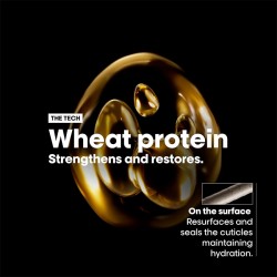 L´Oréal Professionnel Expert Absolut Repair Gold Quinoa + Protein Shampoo Series - Shampoo for