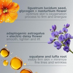 Dermalogica Phyto Nature Oxygen Cream - stangrinamasis drėkinamasis odos kremas, 50 ml