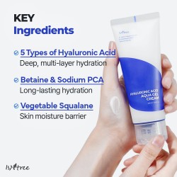 Isntree Hyaluronic Acid Aqua Gel Cream 100 ml