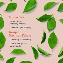 Erborian Green Tea Gentle Exfoliating Sponge - Jemná exfoliační houbička
